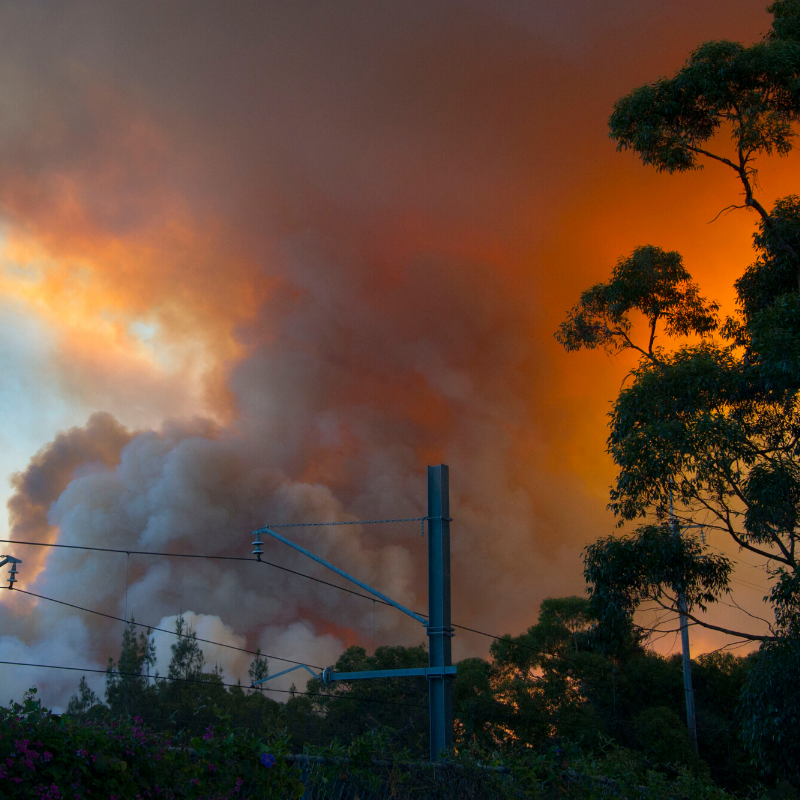 Billowing smoke in the distance near power lines and trees